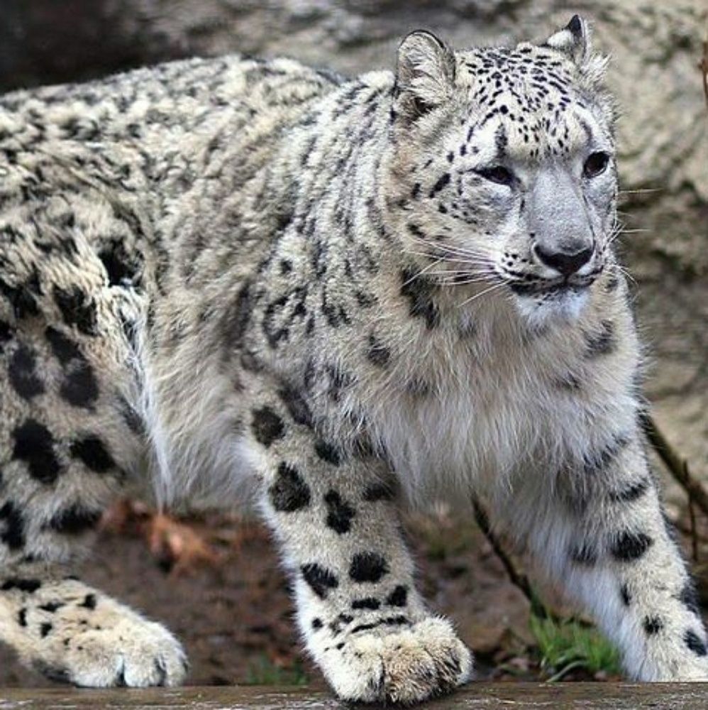 Meet your Posher, Mike